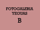 Yeguas Criollas B